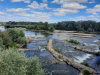 161.-Allier-am-Canal-du-Guetin