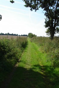 Der Weg ist das Ziel