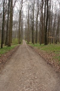 Auf dem OKRW