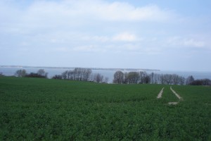 Flensburger Förde