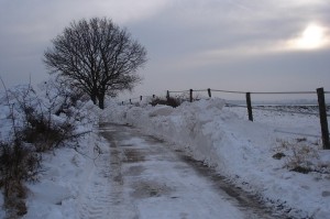 Radweg zum Schwansener See