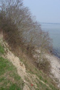 Steilküste Holnis