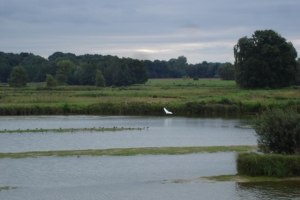 Naturschutzgebiet Steinhorster Becken