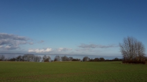 Flensburger Förde