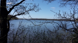 Am Bistensee
