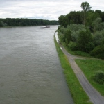 DSC05509 Rheinradweg unter Wasser (640x427)